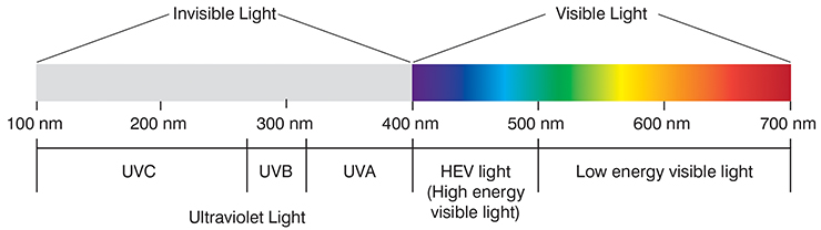 Should You Know About Sunlight? | VISION EASE Blog